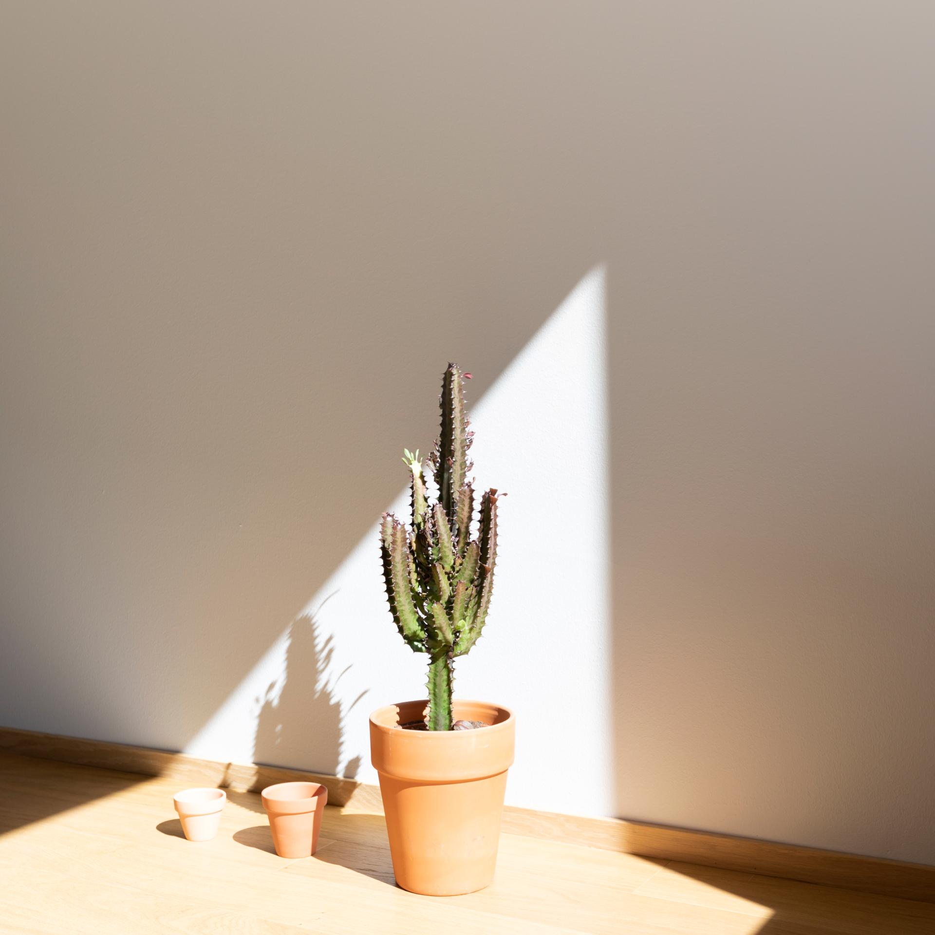 Vaivaton ennakkopäätös